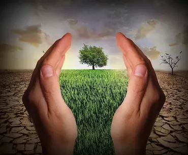 Picture of AGRICULTURE