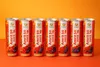 Picture of Amrit Juice 45 (10+1 Bottle)