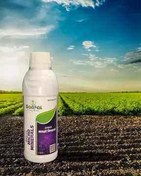 Picture of SAAFAL MICRO MINERALS (1 BOTTLE )