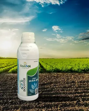 Picture of SAAFAL N P K  BOOSTER (1 BOTTLE)