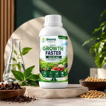 Picture of SAAFAL GROWTH FASTER (1 BOTTLE)