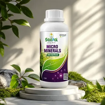 Picture of SAAFAL MICRO MINERALS (1 BOTTLE )