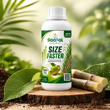 Picture of SAAFAL SIZE FASTER (1 BOTTLE )