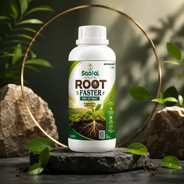 Picture of SAAFAL ROOT FASTER